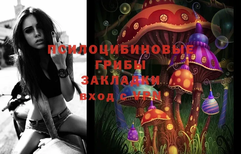 Псилоцибиновые грибы Cubensis  Любим 