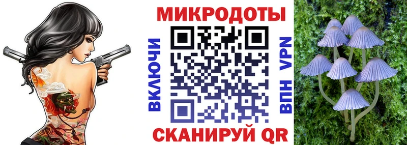 наркота  Любим  Галлюциногенные грибы мухоморы 